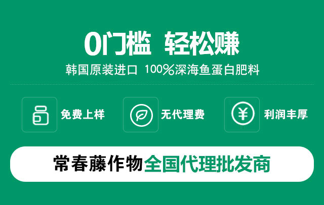 手机留言
